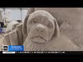 Ringling Bros Circus Returns Battle For Sand Sculpting Supremacy In Virginia Twilight Highlight