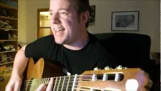 The Offspring - Slim Pickens, Acoustic Cover