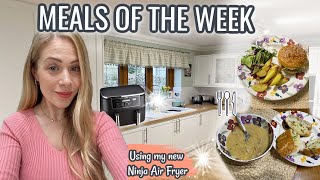 MEALS I MADE USING MY NEW NINJA AIR FRYER | Air Fryer Meal Ideas | Quick Family Meal Ideas