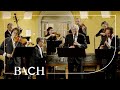 Bach - Brandenburg Concerto no. 4 in G major BWV 1049 - Sato | Netherlands Bach Society