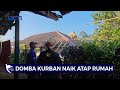 FULL Seputar INews Pagi Rabu 19 Juni 2024