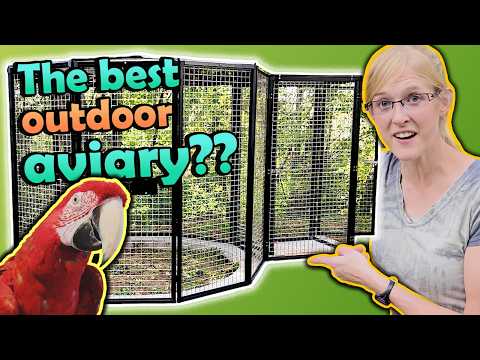 Reviewing the Suncatcher Bird Cage!