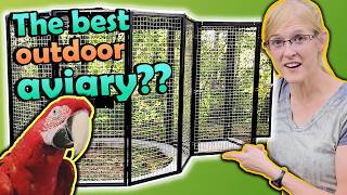 Reviewing the Suncatcher Bird Cage!