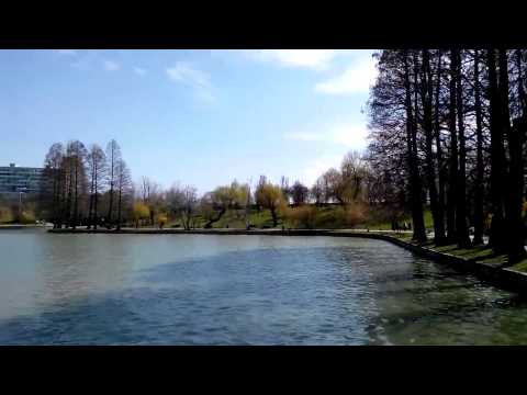 Allview P5 Quad video sample III. - Mobilissimo.ro