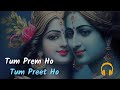Tum prem ho - Tum preet ho slowed and reverb  ( MOhit Lalwani ) || Redhe Krishna