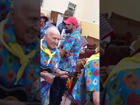 Viva os 3 Reis 🙌🏻 Folia de Reis Santana da Vargem MG #shorts #shortvideo #foliadereis #minasgerais 