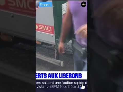 40 moutons entassés dans un appartement dans le quartier de liserons à Nice ont été découvert