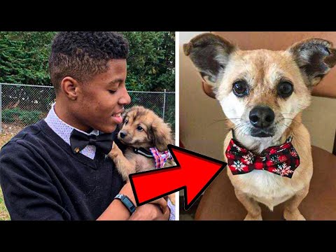 New Jersey Teenager Helps Shelter Dogs Get Adopted By Making Them Bow Ties