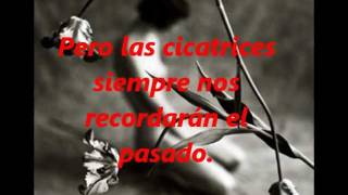 Amor De Cabaret - La Sonora Santanera