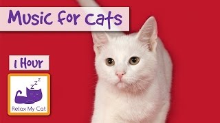 1 Hour of Music for Cats - Relax your Cats and Send them to Sleep CATS LOVE THIS MUSIC!