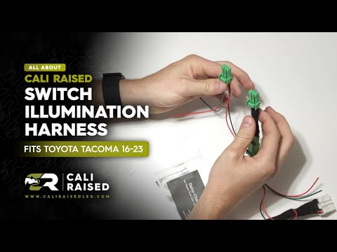 All About: Plug and Play Switch Illumination Harness By Cali Raised LED