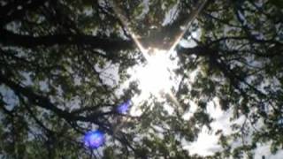 Sleepwalking -- Modest Mouse