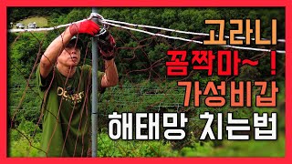 40M 3만원대 고라니 멧돼지 가성비 갑 해태망 치는법