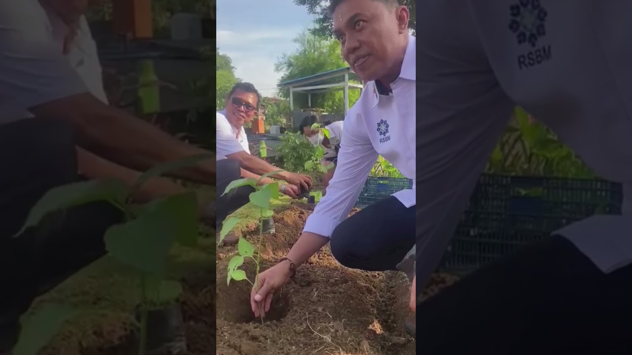 GERAKAN TANAM PANGAN CEPAT PANEN DI LINGKUNGAN RUMAH SAKIT BALI MANDARA