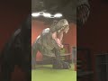 Don T Mess With T Rex T Rex Meme 04