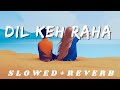 Dil Keh Raha Hai Dil Se (Meri Yaad) - Lofi[ Slowed+Reverb ] | Adnan Sami #slowreverbsongs