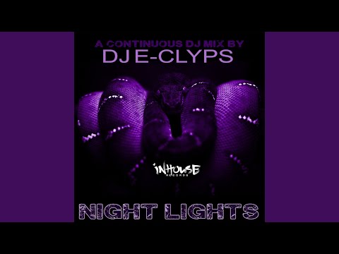 DJ E-Clyps Night Lights Mix (Continuous Play DJ Mix)