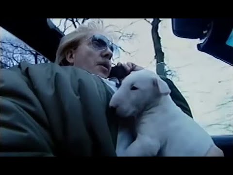 Olli Dittrich als "Mike Hansen": Der neue Hund