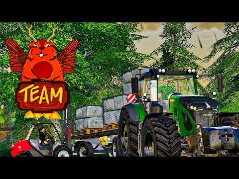 LS19 TEAM #056 ALT, aber nicht VERALTET Landwirtschaft Simulator 19 Achsel Folee