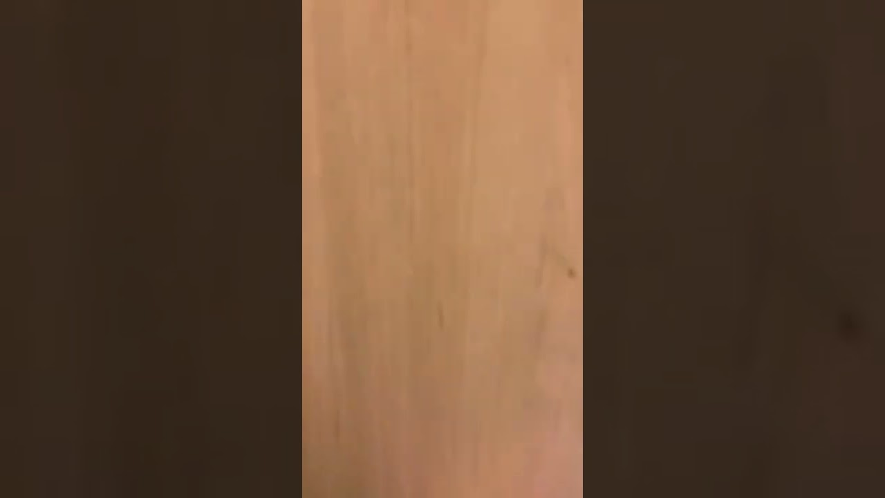 Carnival Magic - Cabin 11204 - Video 3