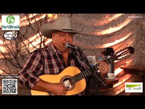 50 - VIOLEIRO DO PASSADO (TRECHO FINAL)