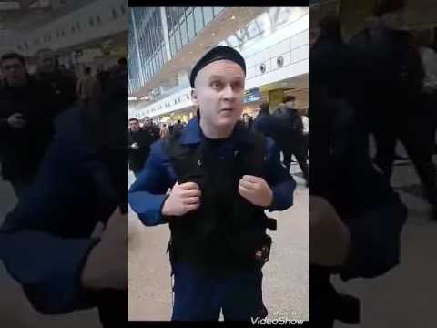 Умники аэропорта Домодедово