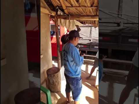 PARTE1- JALAPÃO E ASSIM. ATÉ CAVALGADA DE SÃO FÉLIX JALAPÃO ATÉ MATEIROS AVENTURAS SEM FIM.