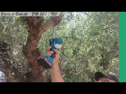 Αλυσοπρίονο Μπαταρίας με 2 Μπαταρίες 48 6Ah 700 Watt Brushless Με Λίπανση Αλυσίδας-thumb-1