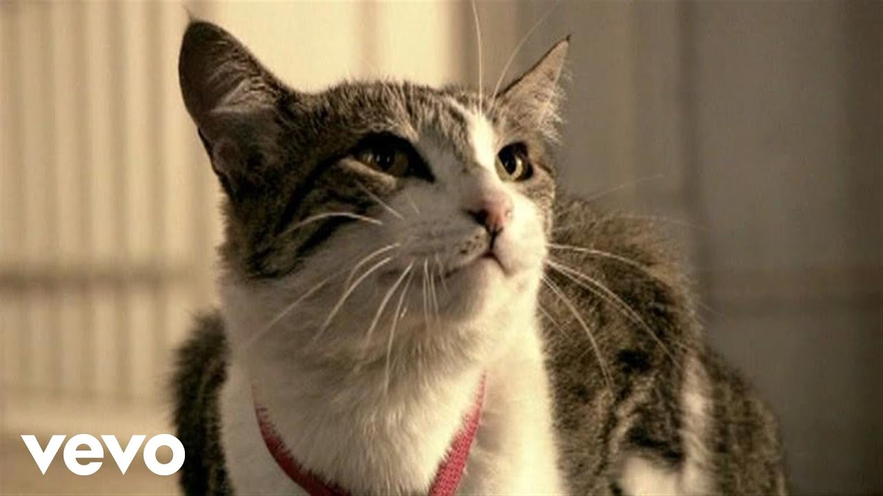 Coti - Cancion De Adios