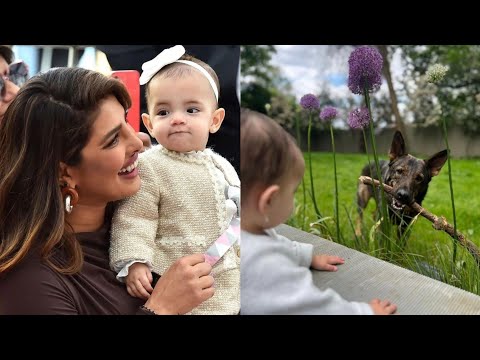 Priyanka Chopra's Daughter Malti Play Time With Pet Dog | Priyanka Chopra