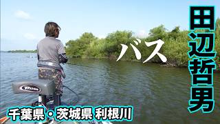 釣果情報