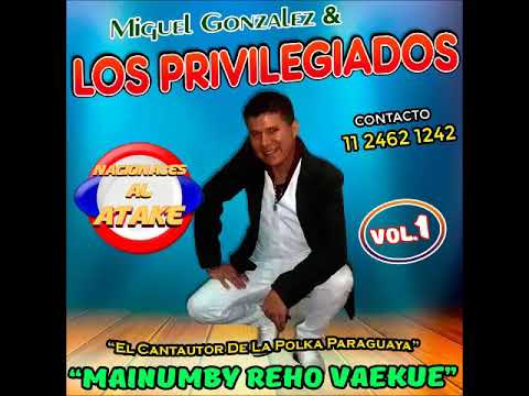 MIGUEL GONZALEZ Y LOS PRIVILEGIADOS - VOL.1 CD COMPLETO , ENGANCHADO POLKA PARAGUAYA IGUSTOKUETE...!