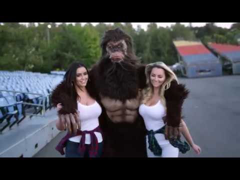 BJ Baldwin's Recoil 3 - Sasquatch Hunter [metrVST]