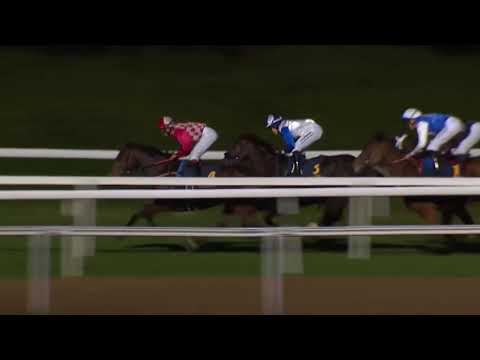 2018.10.18 Stockholm Fillies & Mares Stakes (SWE) - High As A Kite