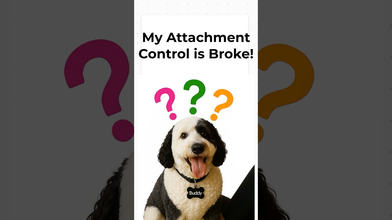 Power Apps Attachment Control Issues What You Need To Know Now Power apps attachment control issues what you need to know now