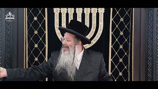 הרה"ג ר' שמעון שנייבלג שליט”א | דבר חינוך אקטואלי מהפרשה | פרשת מקץ - חנוכה | אידיש
