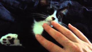 "Everything's Gonna Be Just Fine" - music: "Rusty Hammer" by: Xavier Rudd v