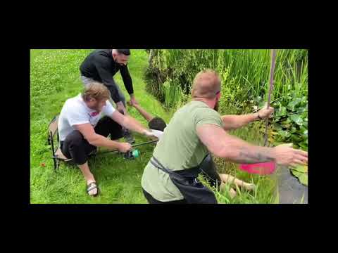 michel venum ( ragnar_le_breton ) pêche du gros ( le projet )