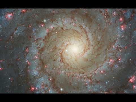 The Melody Four Quartet - It's About Time