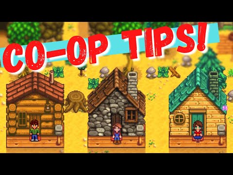 Couples Tips To Make Stardew Valley MULTIPLAYER Even BETTER!
