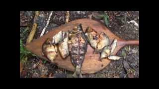 Jungle survival - Cooking fish in the Amazon