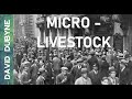 Crystal Ball Chronicles: Synthetic Nutrients & Micro Livestock