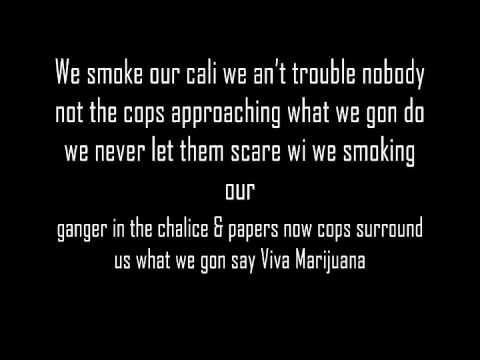 Viva Marijuana Mr. Williamz & Franz Job Gorilla Riddim Lyrics on Screen