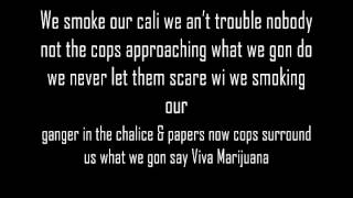 Viva Marijuana Mr. Williamz & Franz Job Gorilla Riddim Lyrics on Screen