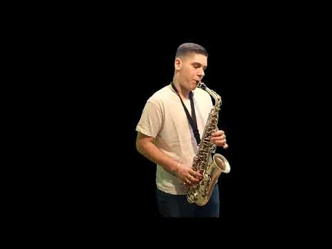 Virag band - Tie ružičky ( COVER)