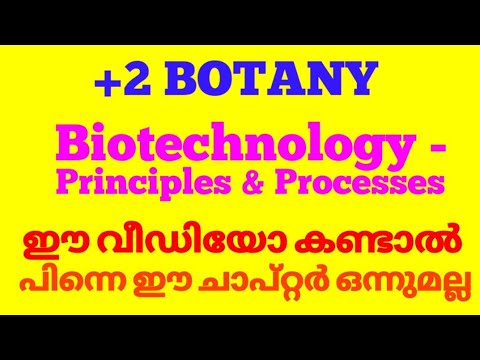 Plustwo botany biotechnology principles in malayalam | +2botany | biotechnology | shaheer sir |