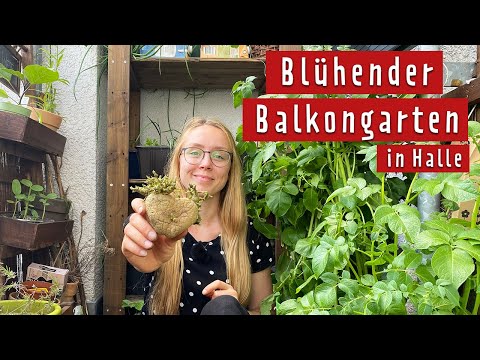 Traumhafter Balkon in Halle | MDR Garten