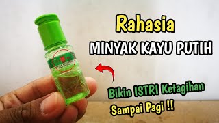 Download lagu The secret function of eucalyptus oil❗why not from the start mp3