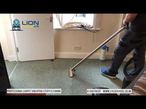 Lion Yellow Ltd video.