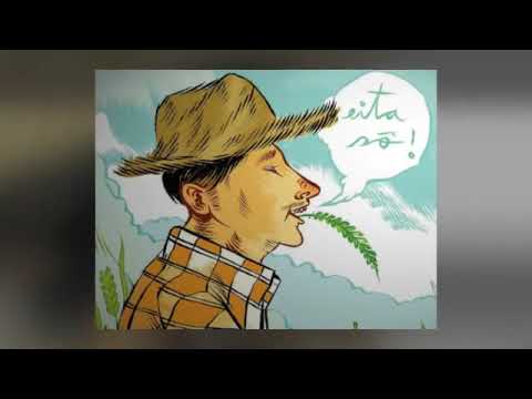 Piadas de Caipira o Cunhado e a Sogra